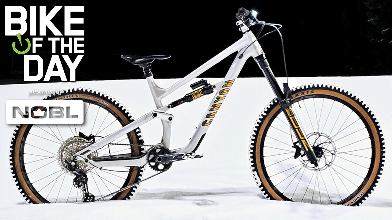 Torque AL gold FB.jpg?VersionId=.z5gnGsNVQxlFLodlqv.RJ.M